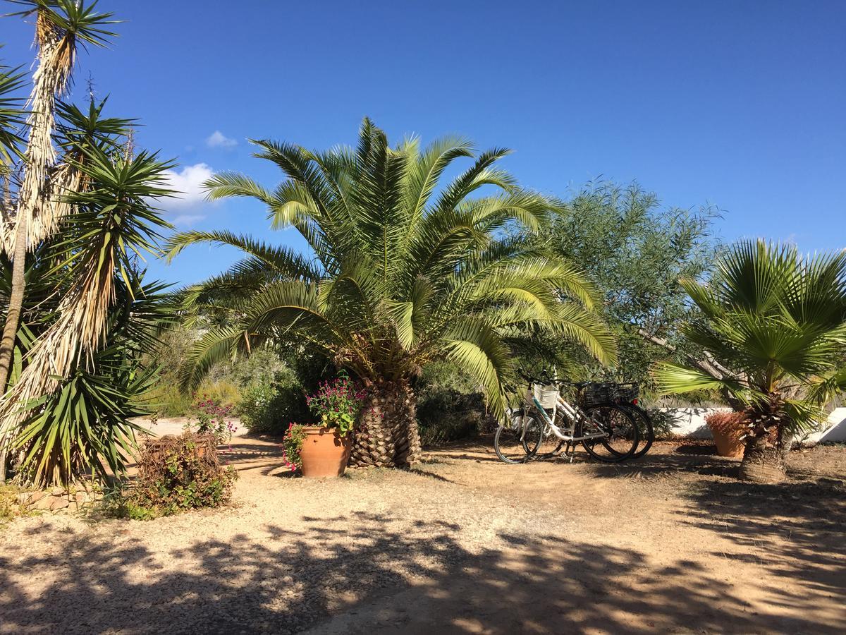 Apartamentos Laura Playa De Migjorn Buitenkant foto